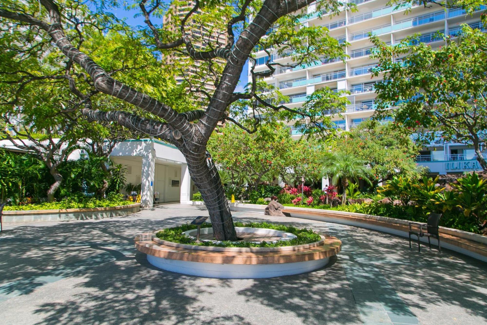 Ilikai Tower 1628 Lagoon View 1Br Honolulu Exterior photo